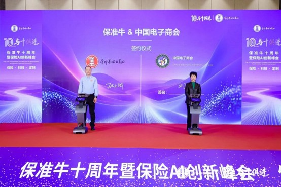 Baoshun Niu’s 10th Anniversary Summit